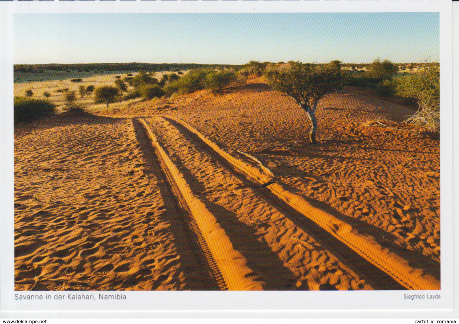 Namibia Kalahari Dunes Savanna Unused (ask Verso) - Namibia