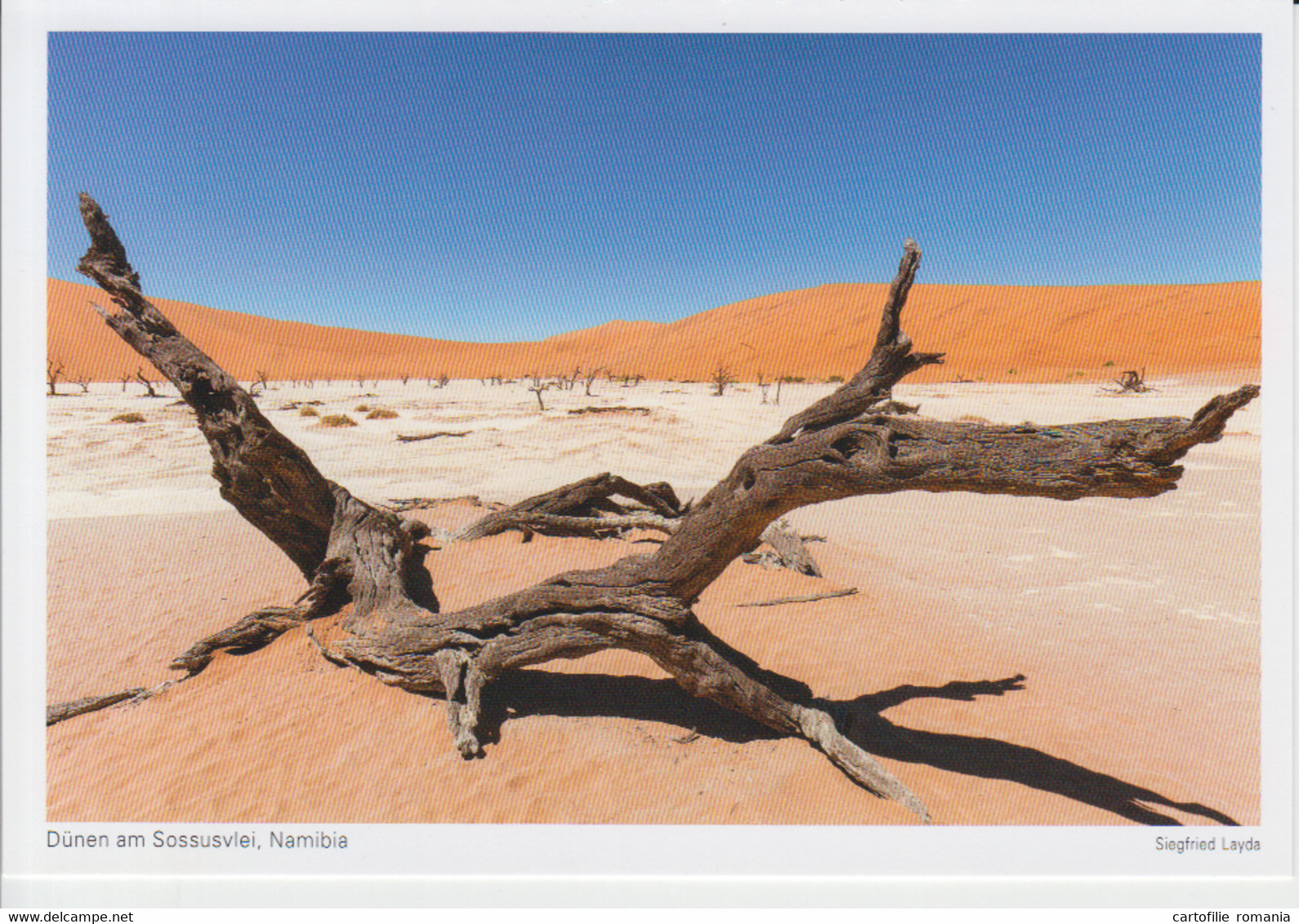 Namibia Sossusvlei Dunes Unused (ask Verso) - Namibia
