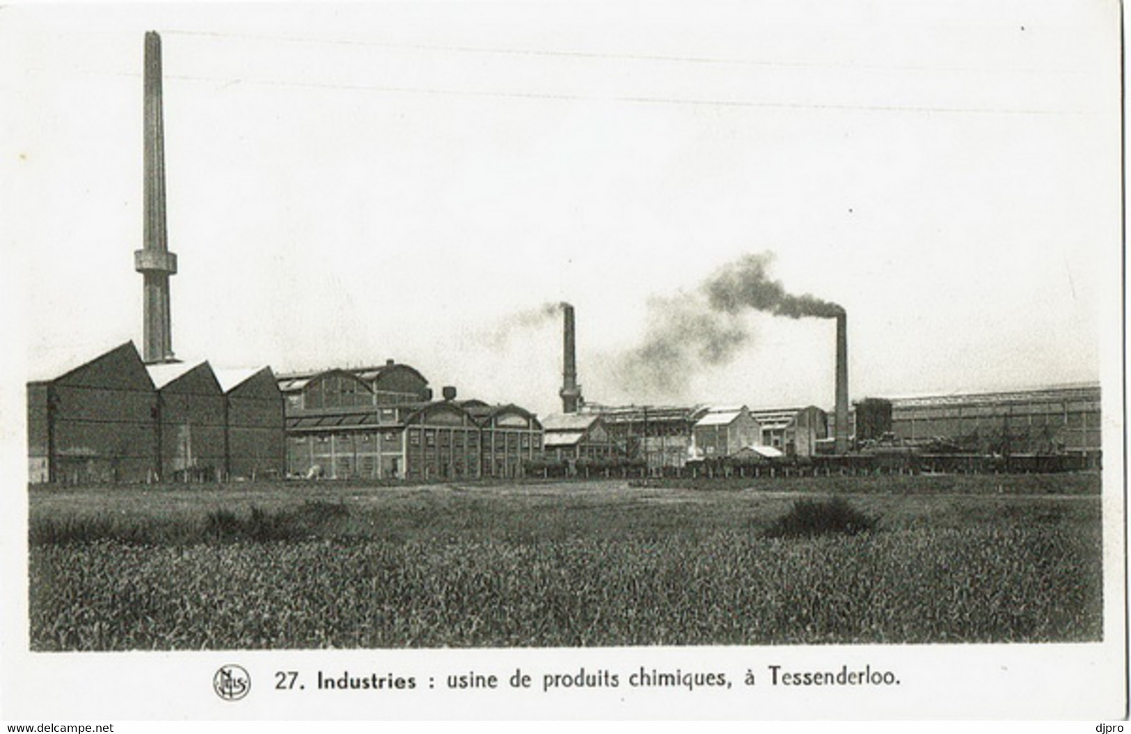 Tessenderloo  Industrie 27 - Tessenderlo