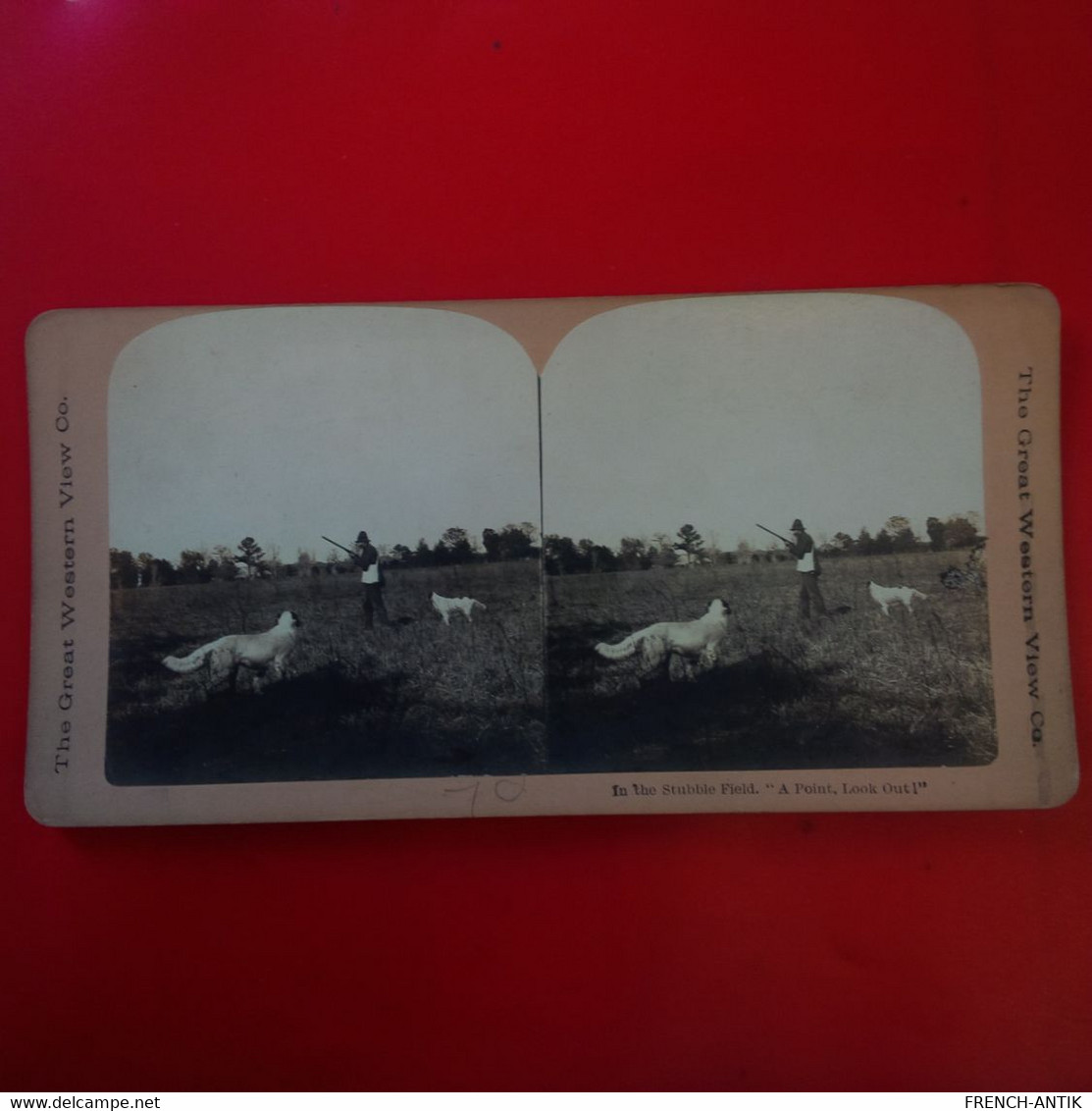 PHOTO STEREO THE GREAT WESTERN IN THE STUBBLE FIELD A POINT LOOK OUT ! CHASSEUR - Stereoscopio
