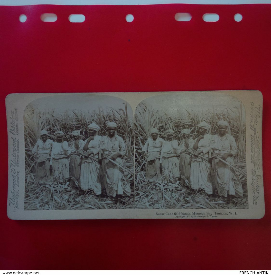 PHOTO STEREO SUGAR CANE FIELD HANDS MONTEGO BAY - Stereo-Photographie
