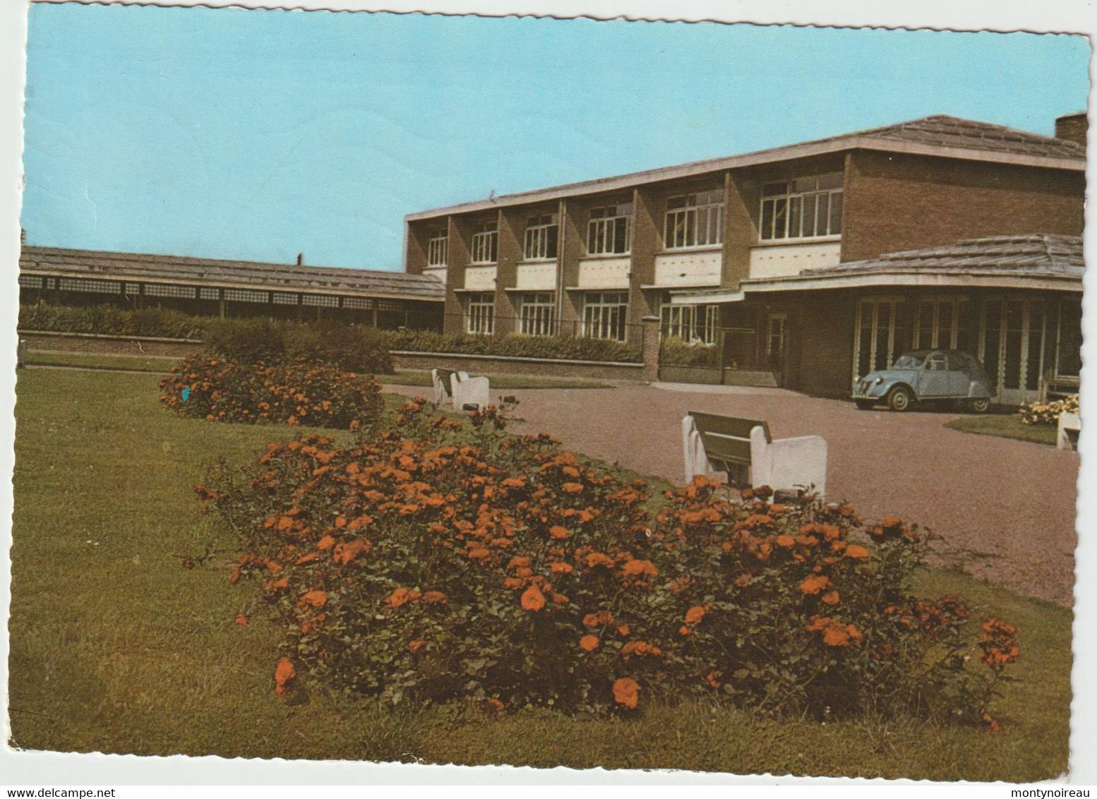 Nord : LOMME :  Groupe  Scolaire  Voltaire-Sévigné ( Voiture 2 Chevaux  Citroën) - Lomme