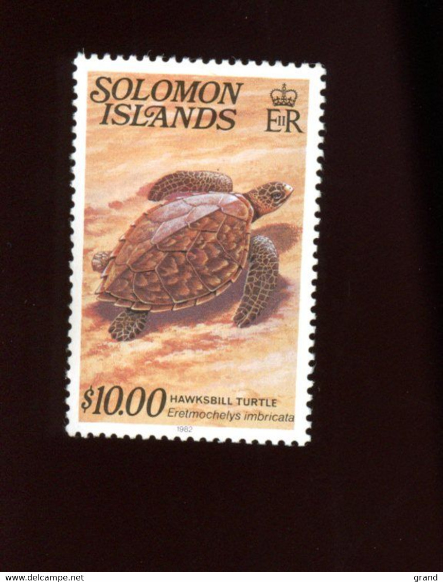 Solomon -Tortue-YT 460***-MNH - Turtles