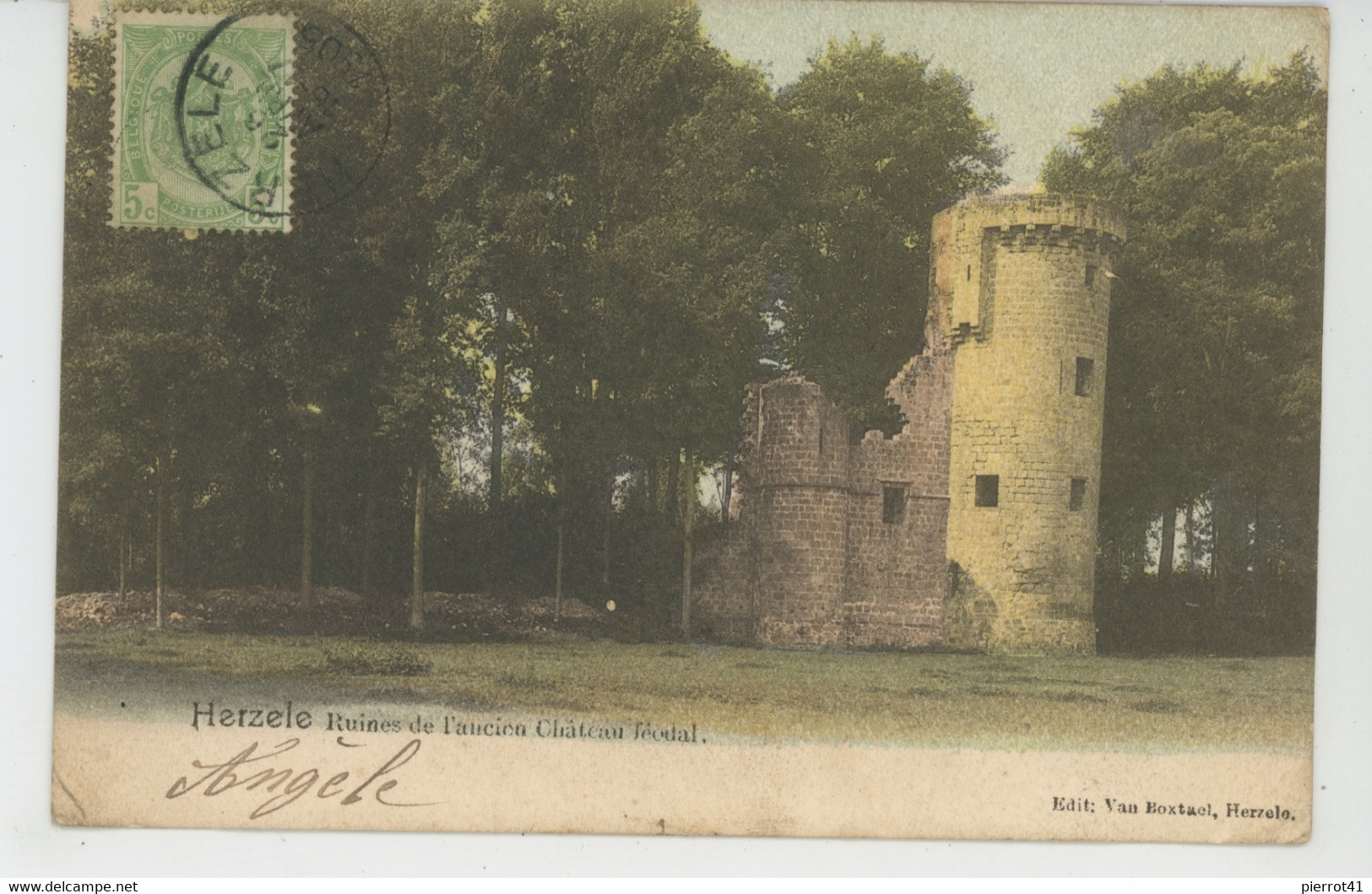 BELGIQUE - HERZELE - Ruines De L'ancien Château Féodal - Herzele