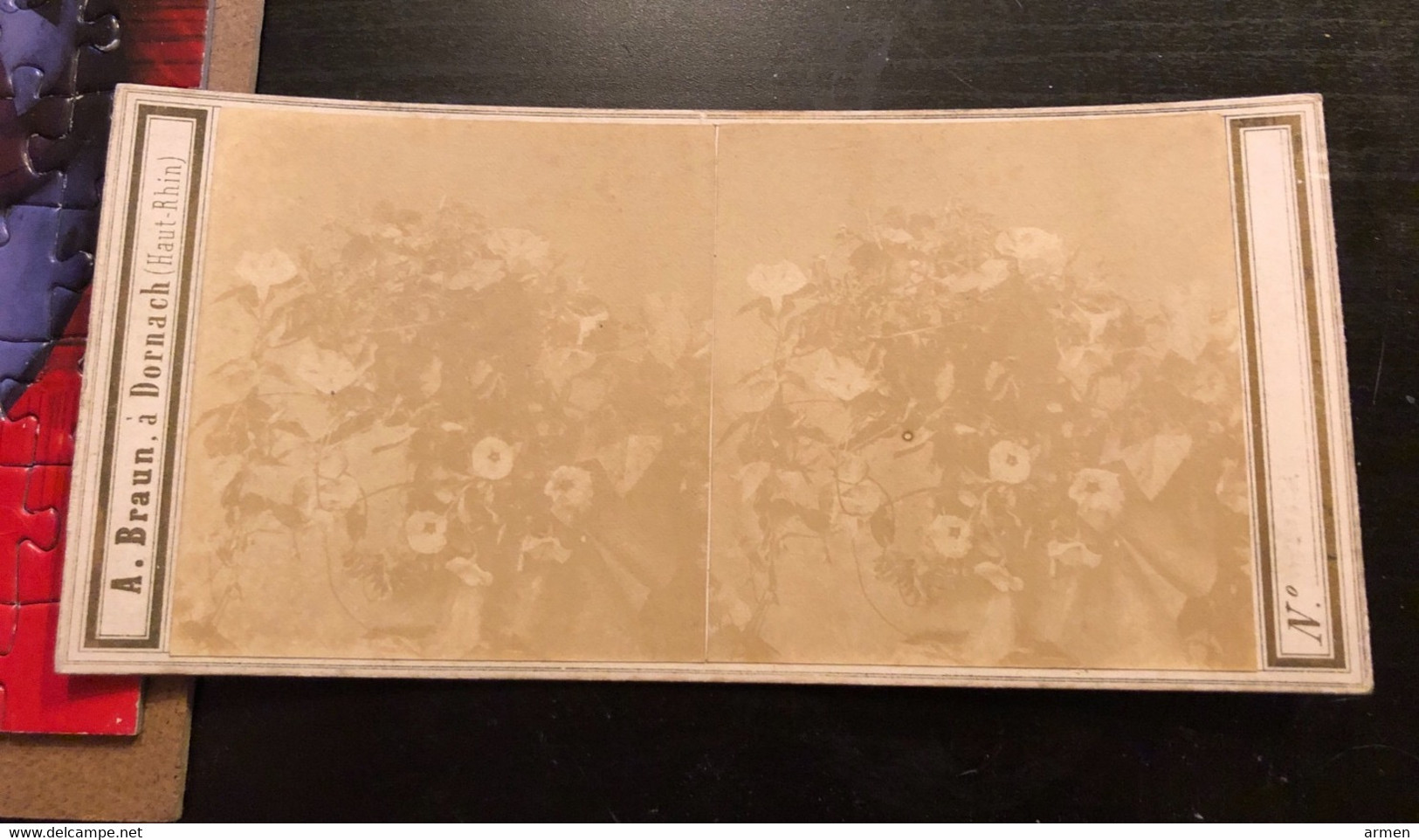 Photo Stéréo Vers 1880  À.Braun A Dorbach Haute Rhin 68 -  Fleurs Dans Un Vase    Très Animé - Stereoscoop