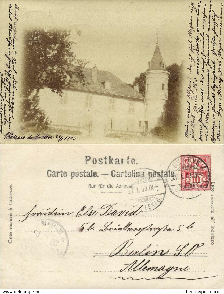 Switzerland, VERSOIX, Chateau De Gollex (1903) RPPC Postcard (2) - Versoix