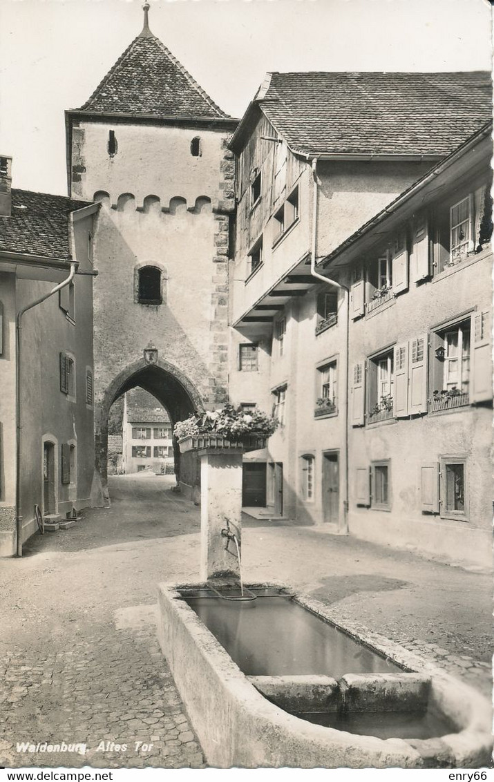 WALDENBURG ALTES TOR - Waldenburg