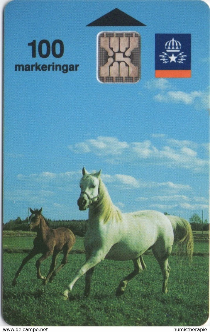 Suède 100 Unités : Chevaux 1991 Tirage 150000 - Pferde