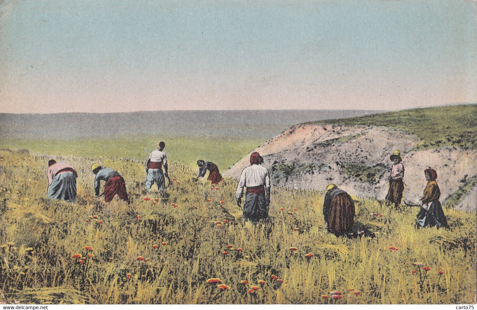 Agriculture - Macédoine - Macedonia - Fauchage Des Blés - Récolte - Reaping With Scythes - Landwirtschaftl. Anbau