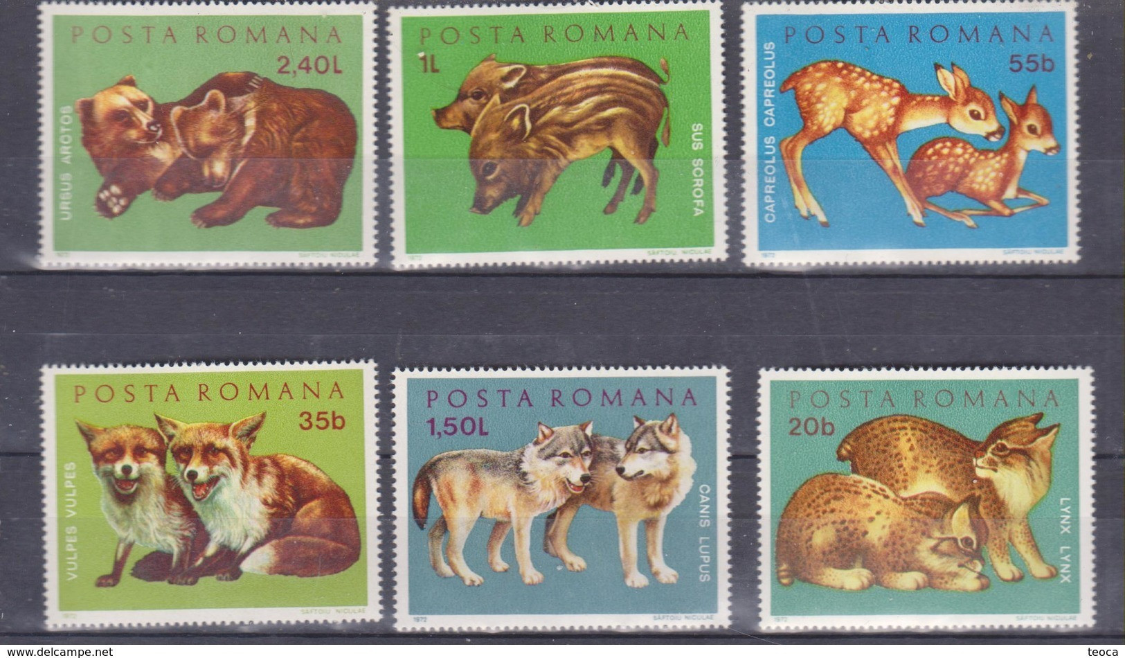 Animals Romania 1972 Set 6v   , Mnh , The Bears, Foxes, Deer, Wolves, Panther, Pigs - Autres & Non Classés
