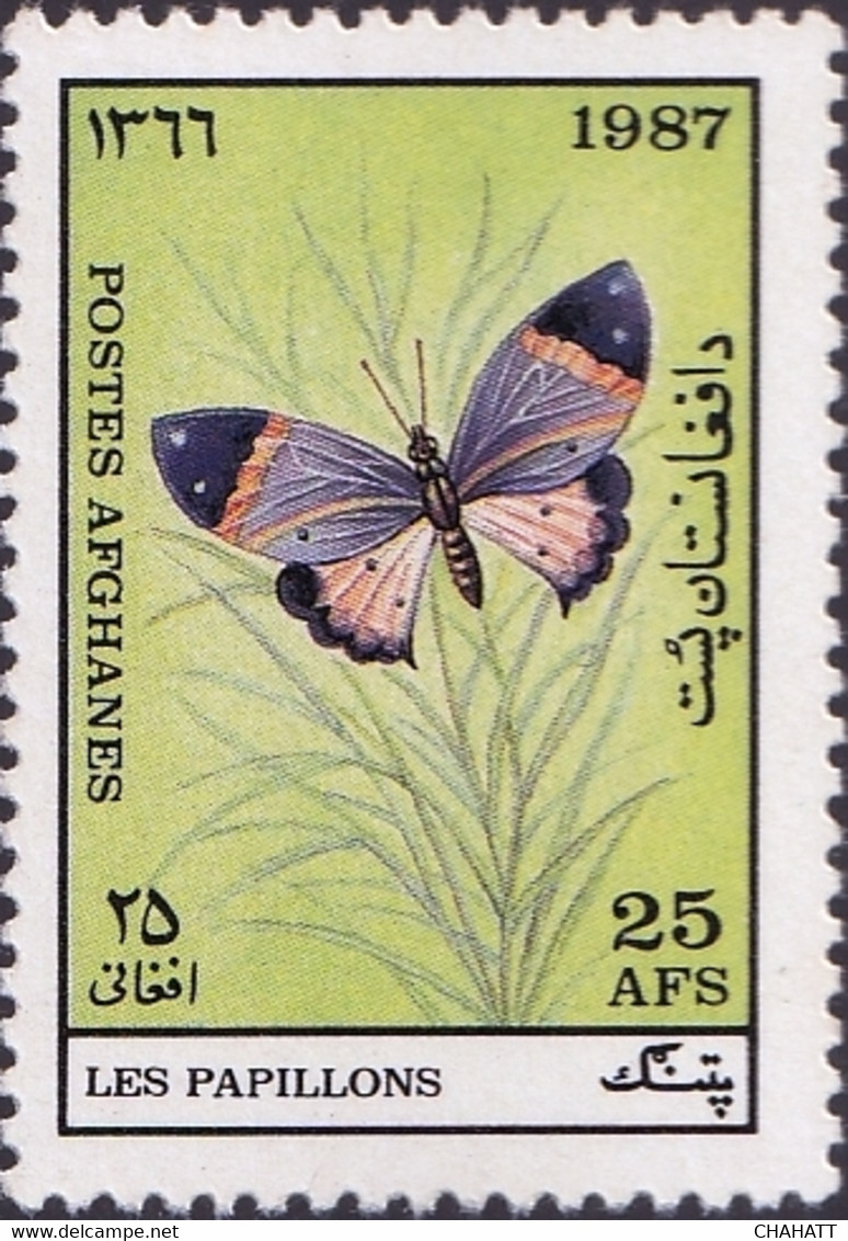 INSECTS- BUTTERFLY- AFGHANISTAN-1987-MNH-A4-508 - Afghanistan