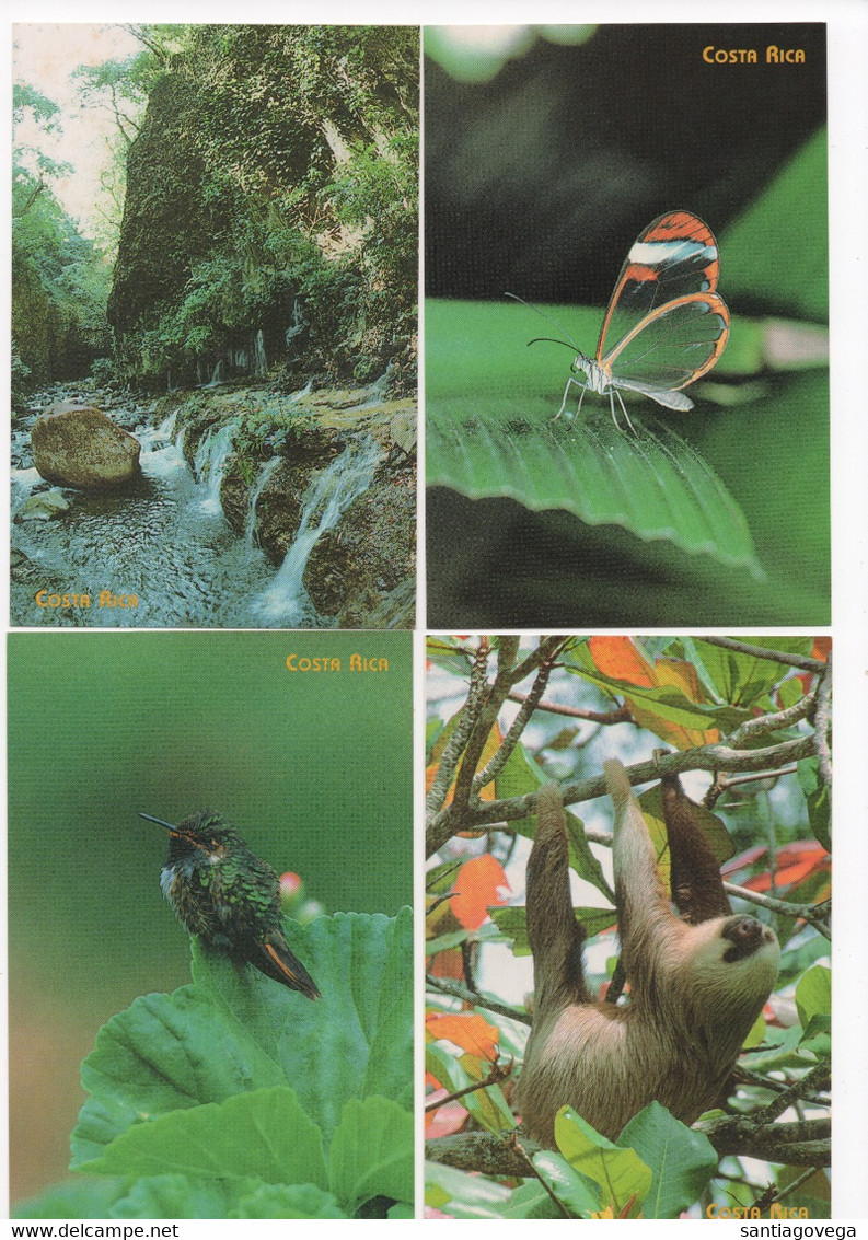 Costa Rica 10 Postalcards Postage Paid 150 Colones Butterfly Hummingbird Sloath Orquid Church Crab Beach River Mint #317 - Costa Rica