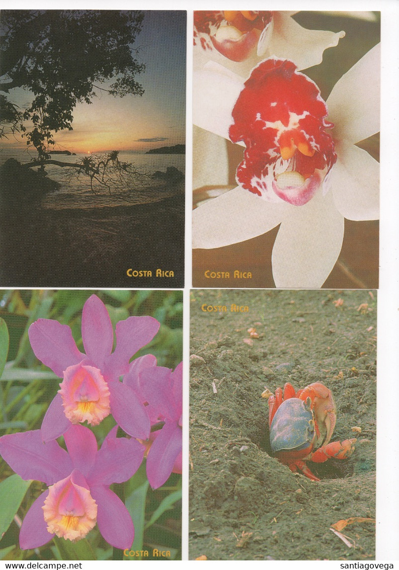 Costa Rica 10 Postalcards Postage Paid 150 Colones Butterfly Hummingbird Sloath Orquid Church Crab Beach River Mint #317 - Costa Rica