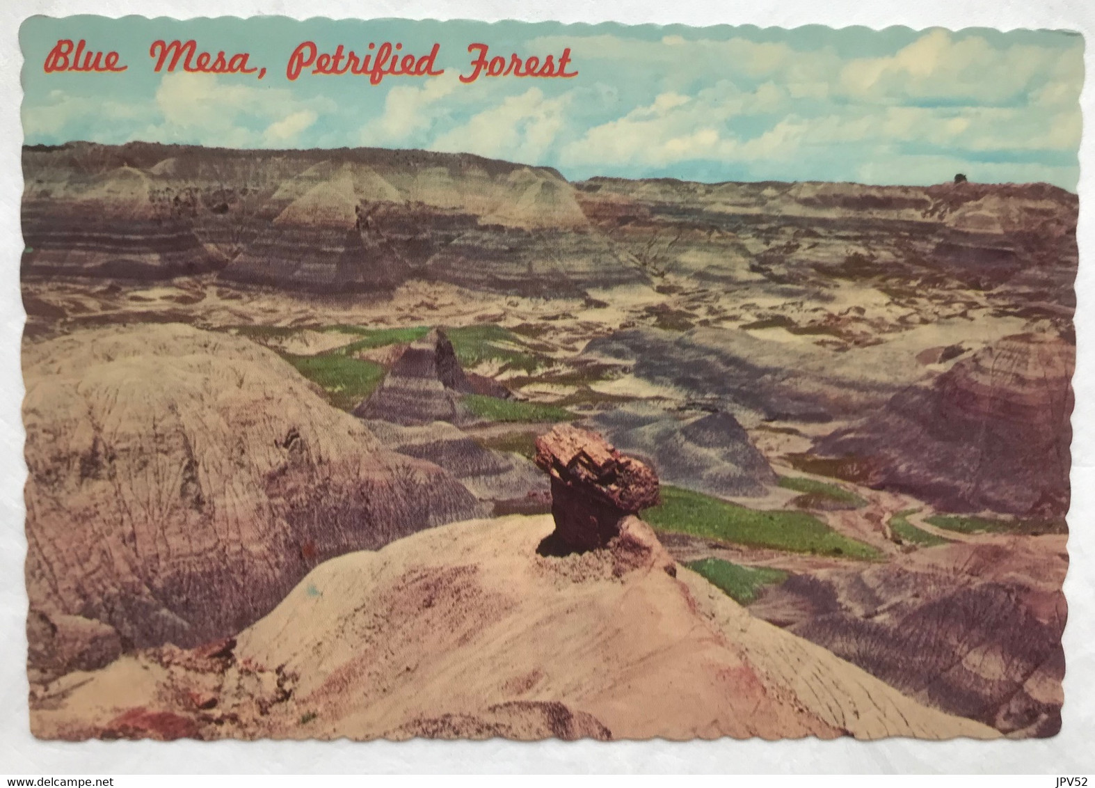 (4165) USA - Northern Arizona - Blue Mesa - Pedestal Log - Mesa