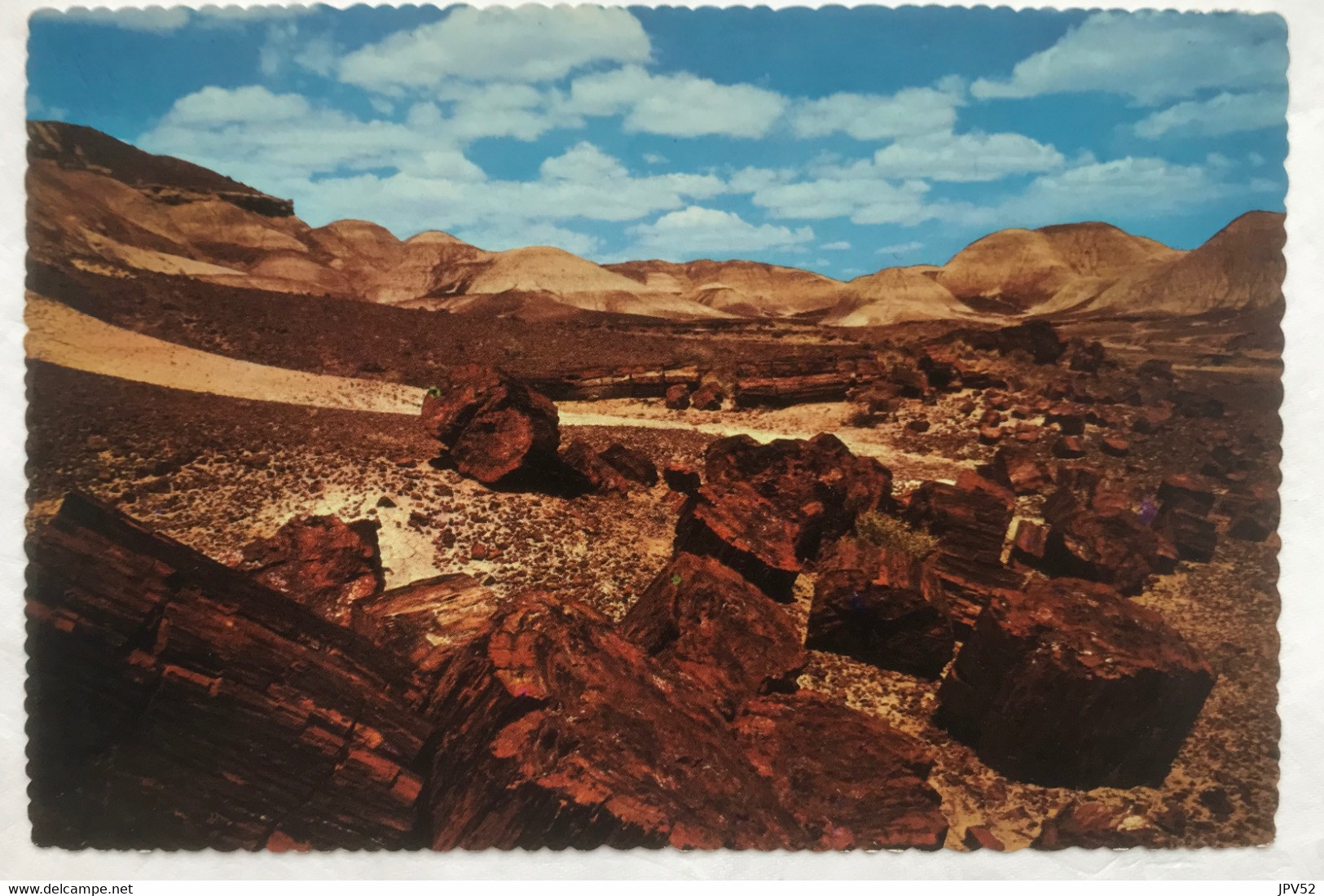 (4166) USA - Arizona - Blue Mesa - Petrified Forest - Mesa