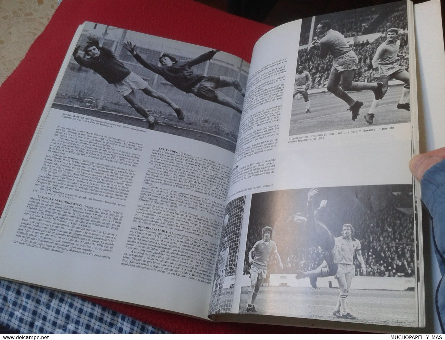 LIBRO FÚTBOL HISTORIA COMPLETA TÁCTICAS DE JUEGO POR JARED LEBOW MUNDIALES ESPAÑA 1982 82 (Y OTROS) VER..SOCCER FOOTBALL