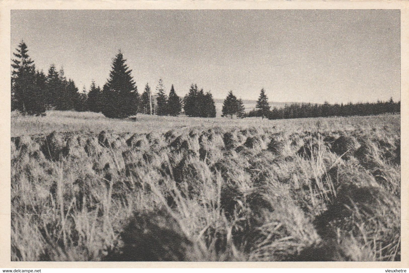 WAIMES HAUTES FAGNES  MONT RIGI  BARAQUE MICHEL - Weismes