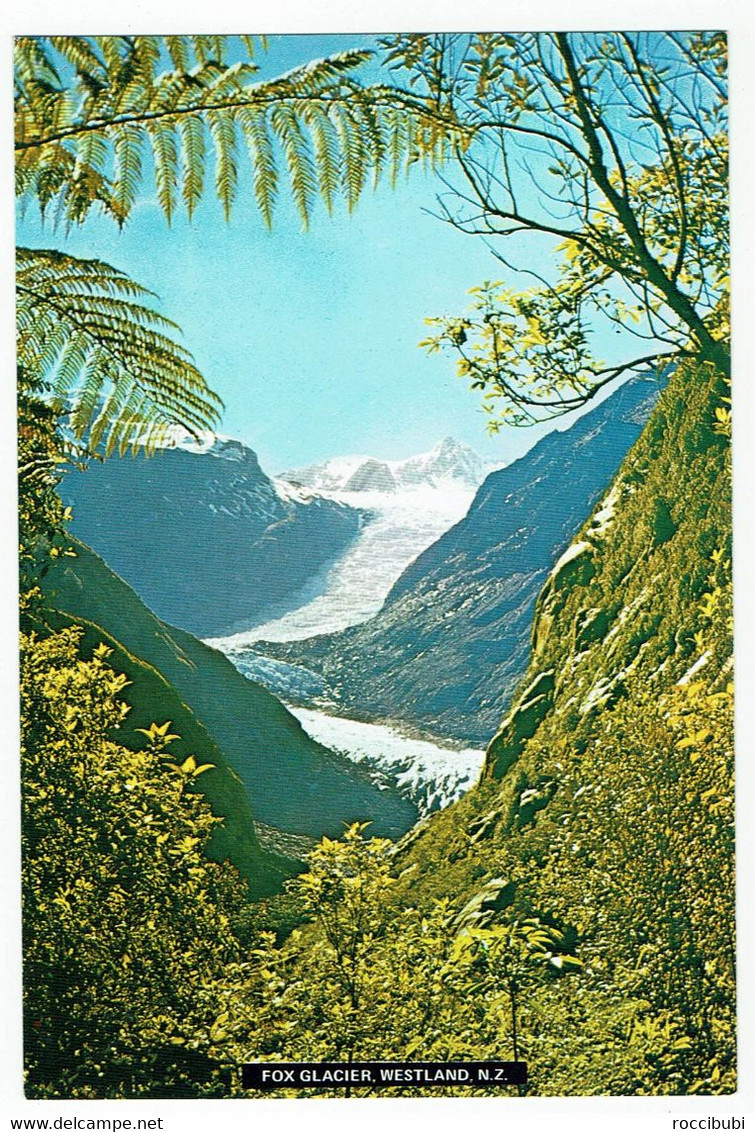 Neuseeland, Fox Glacier, Westland, New Zealand - Nueva Zelanda