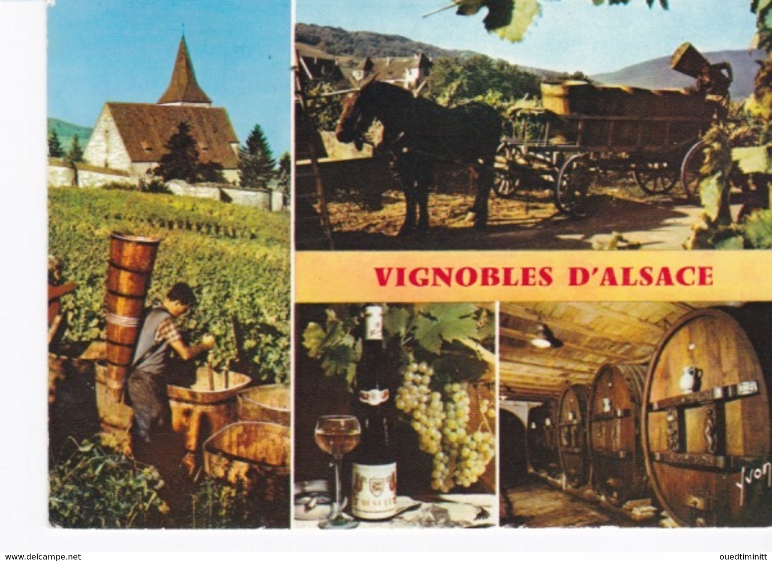 CPSM Multi-vues 1972 Les Vignobles D'Alsace - Vignes