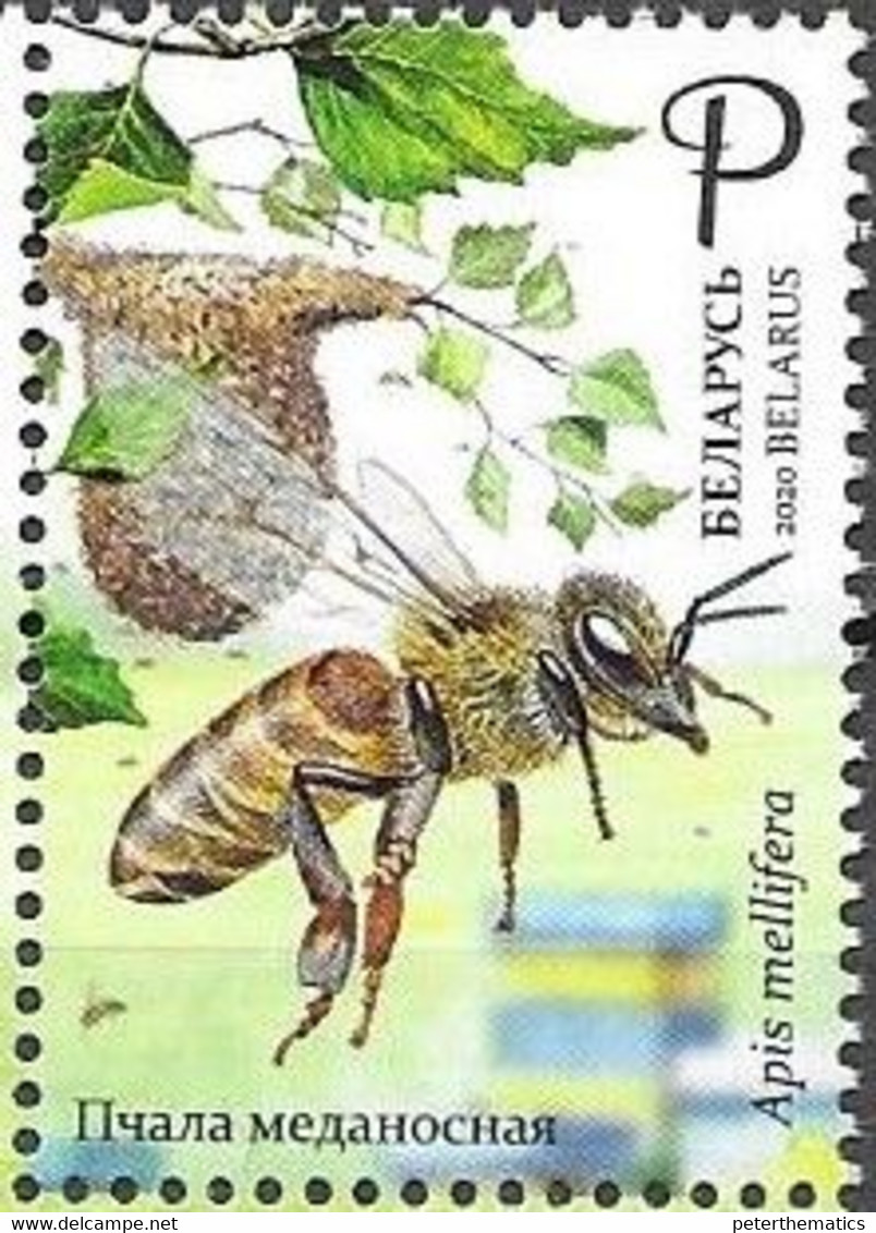 BELARUS, 2020, MNH,BEES, BEEKEEEPING IN BELARUS, 1v - Abeilles