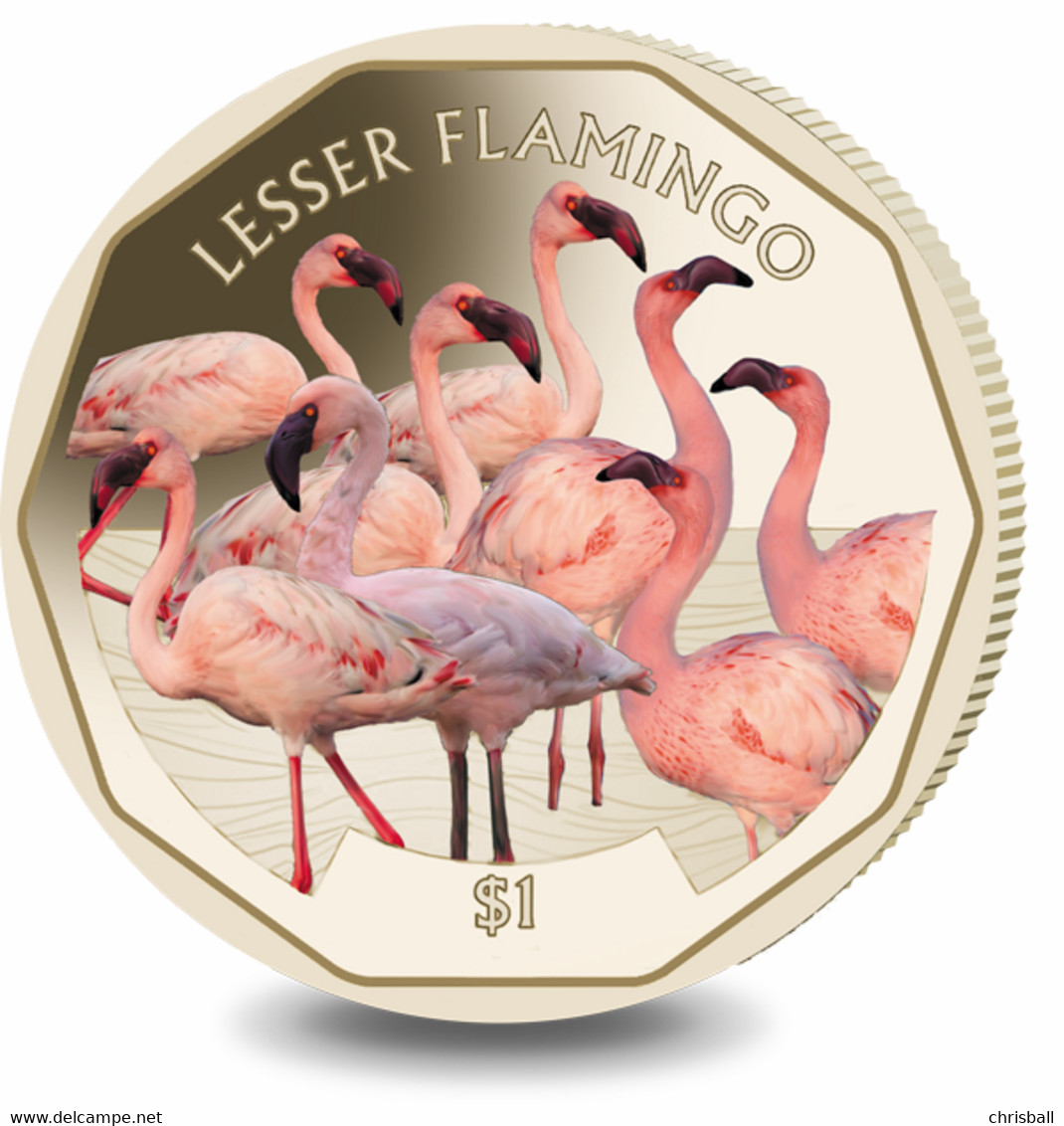 British Virgin Islands Coin 2019 - Lesser Flamingo - British Virgin Islands