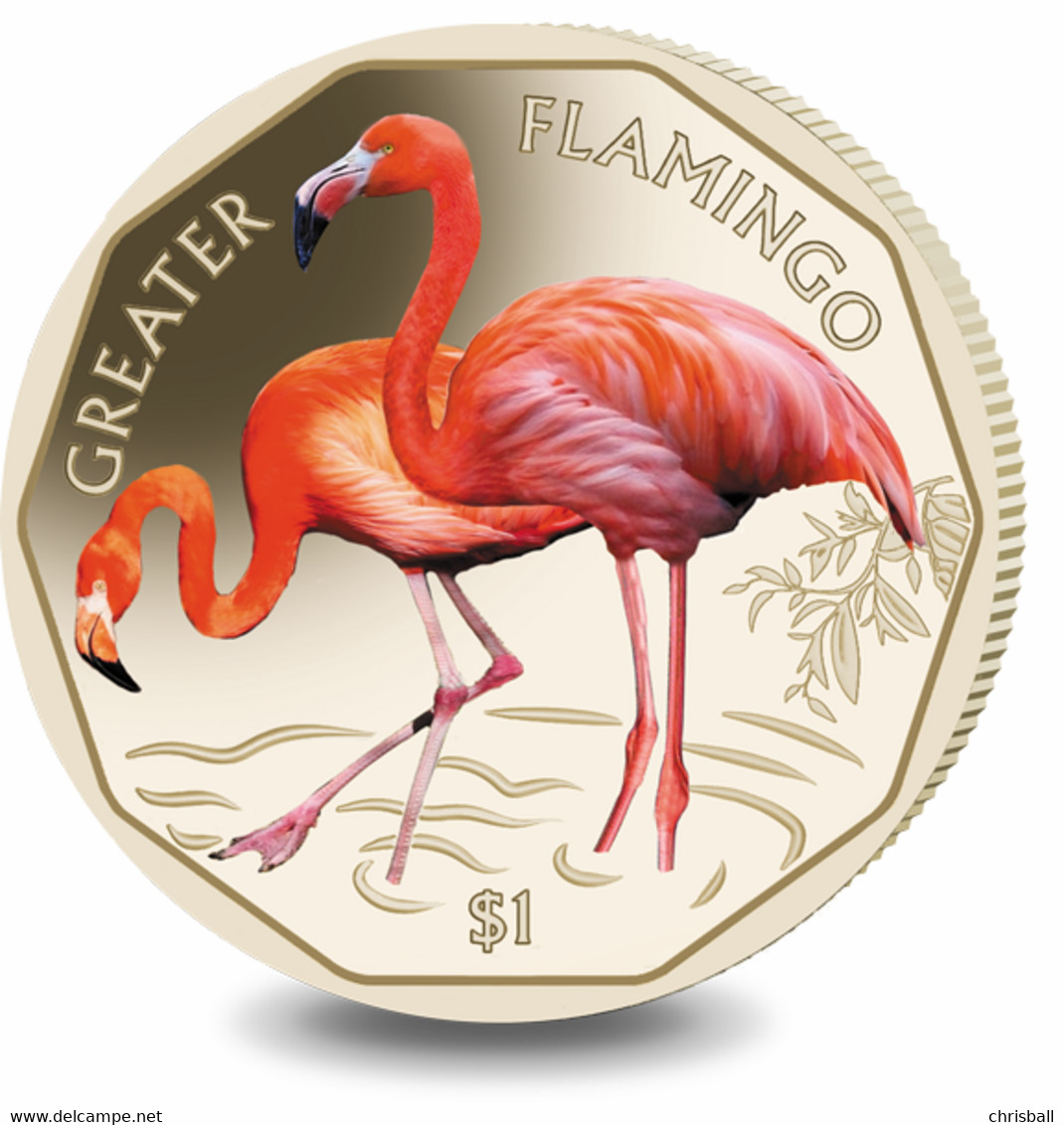 British Virgin Islands Coin 2019 - Greater Flamingo - British Virgin Islands