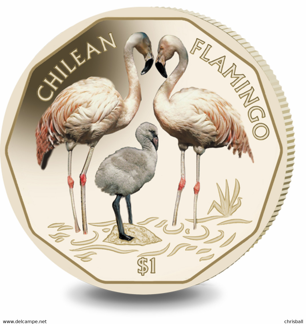 British Virgin Islands Coin 2019 - Chilean Flamingo - Britse Maagdeneilanden