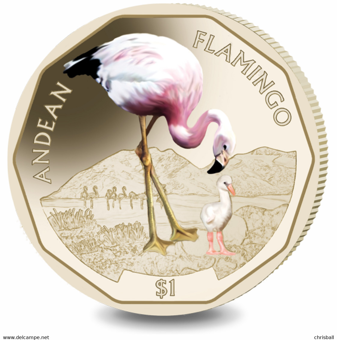 British Virgin Islands Coin 2019 - Andean Flamingo - Jungferninseln, Britische