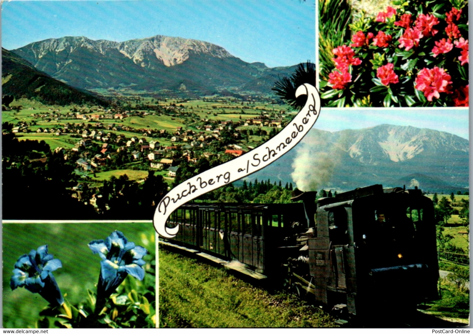 4649 - Niederösterreich - Puchberg Am Schneeberg , Ortsansicht , Schnnebergbahn , Almrausch , Enzian - Nicht Gelaufen - Schneeberggebiet