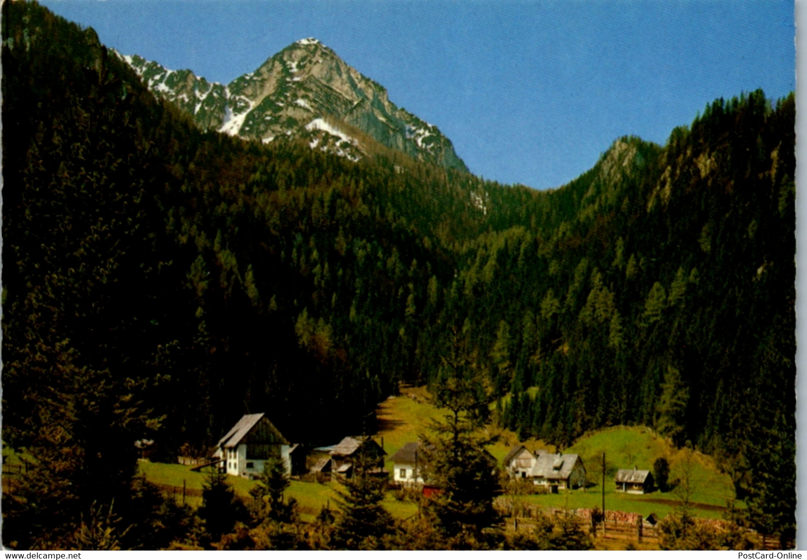 4940  - Steiermark , Wildalpen , Hinterwildalpen Gegen Gosskogel - Nicht Gelaufen - Wildalpen