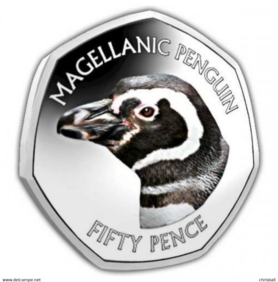 Falkland Island Set 5 Coins, Coloured Set 5 In Album Dated 2018 In Official Album - Falklandinseln