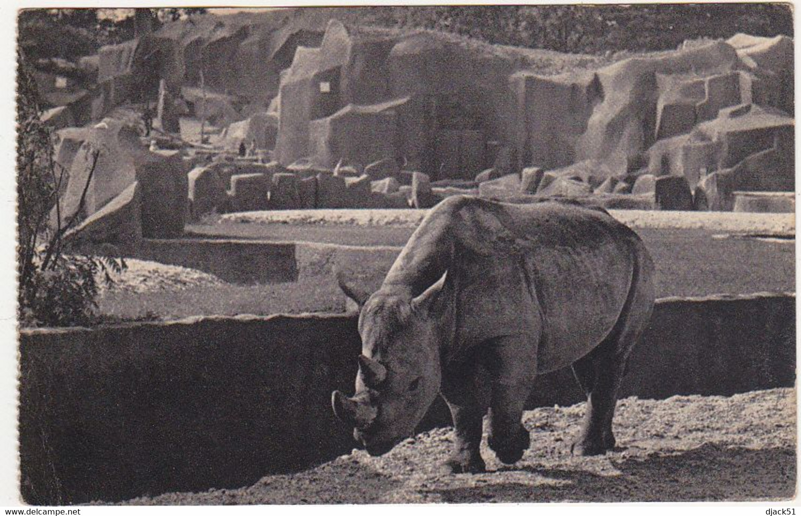 PARC ZOOLOGIQUE DU BOIS DE VINCENNES PARIS / Le Rhinocéros D'Afrique - 1937 - Rhinoceros