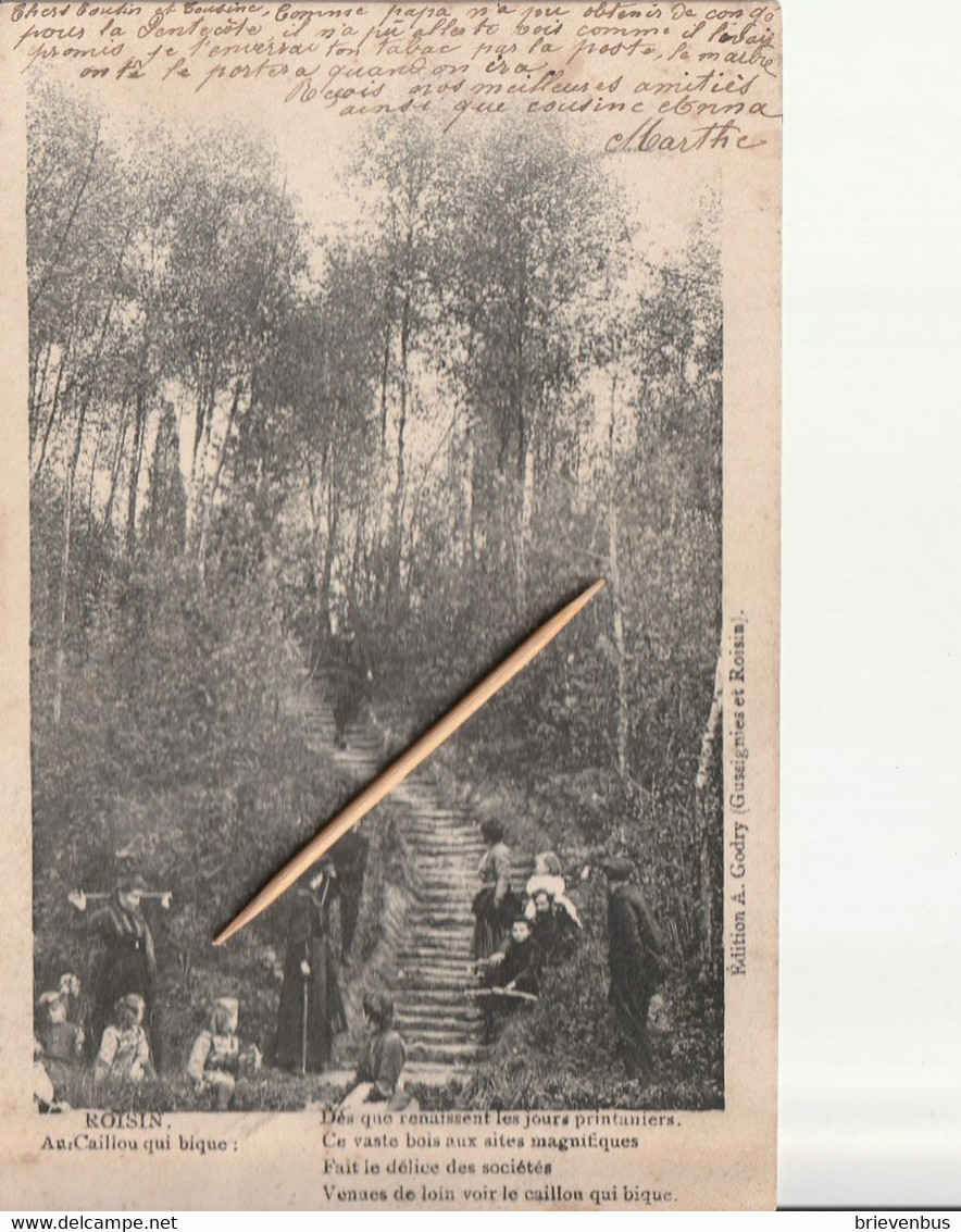 Roisin: Au Cailiou Qui Bique, 1905, St. Bernard, Très Bon état - Honnelles