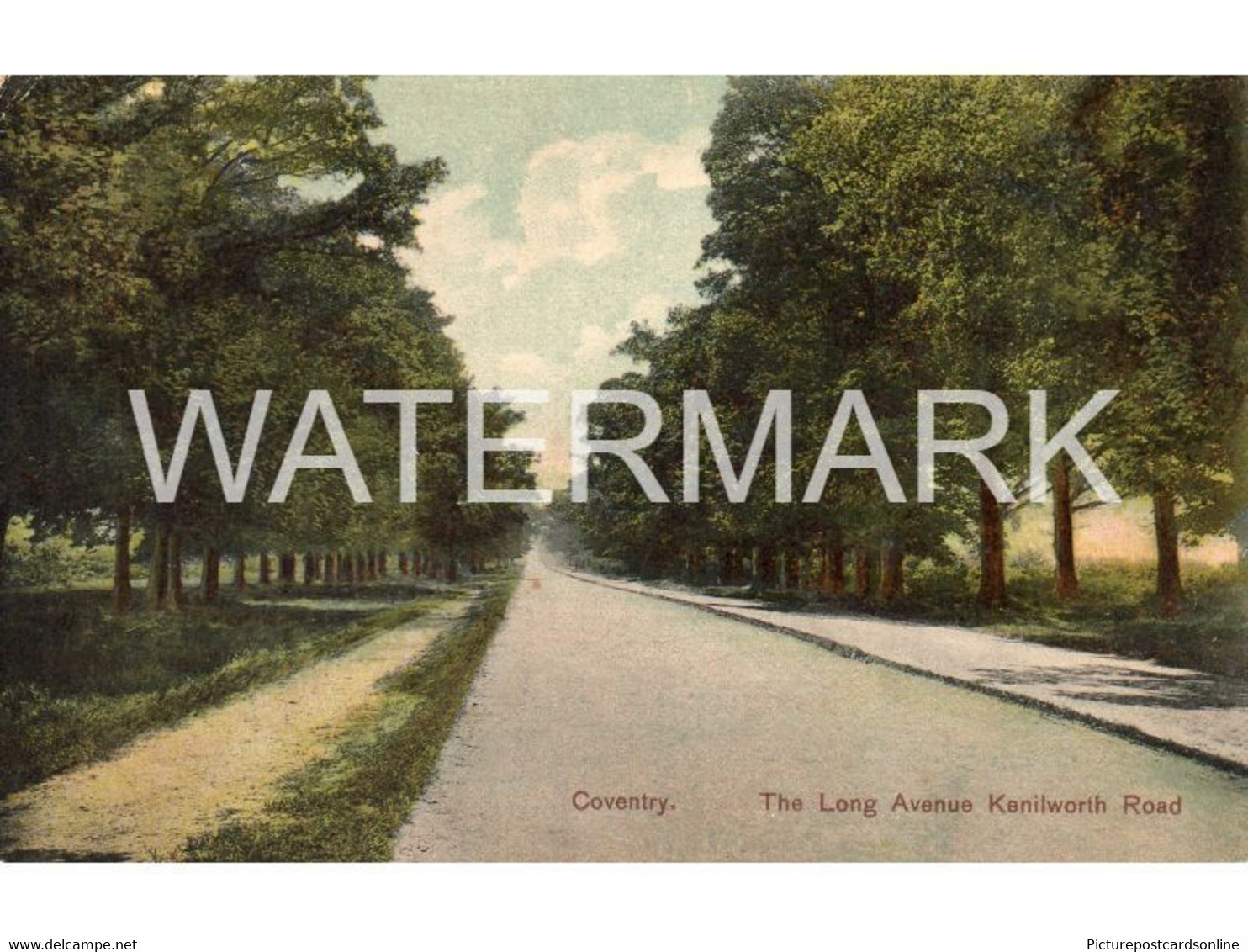 COVENTRY THE LONG AVENUE KENILWORTH ROAD OLD COLOUR POSTCARD WARWICKSHIRE - Coventry