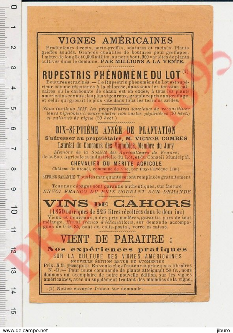 2 Vues Publicité 1895 Victor Combes Vire Lot 46 Rupestris / Graines Semences Vilmorin Andrieux  ANN5 - Non Classificati