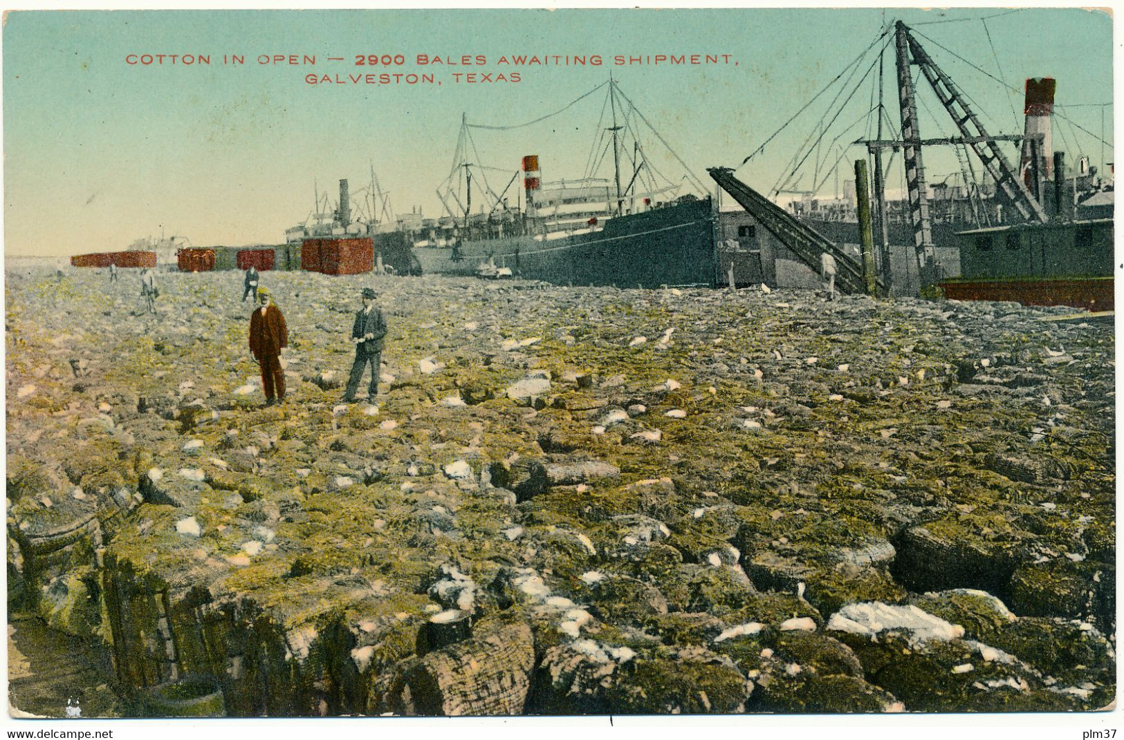 GALVESTON , TX -  Cotton In Open - Galveston