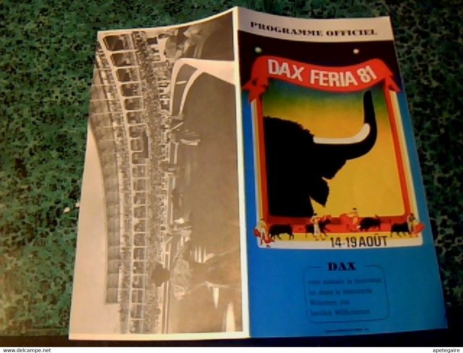 Vieux Papier Programme 1981 Tauromachie Dax-feria 81 Programme Officiel 14-19 Août - Programma's