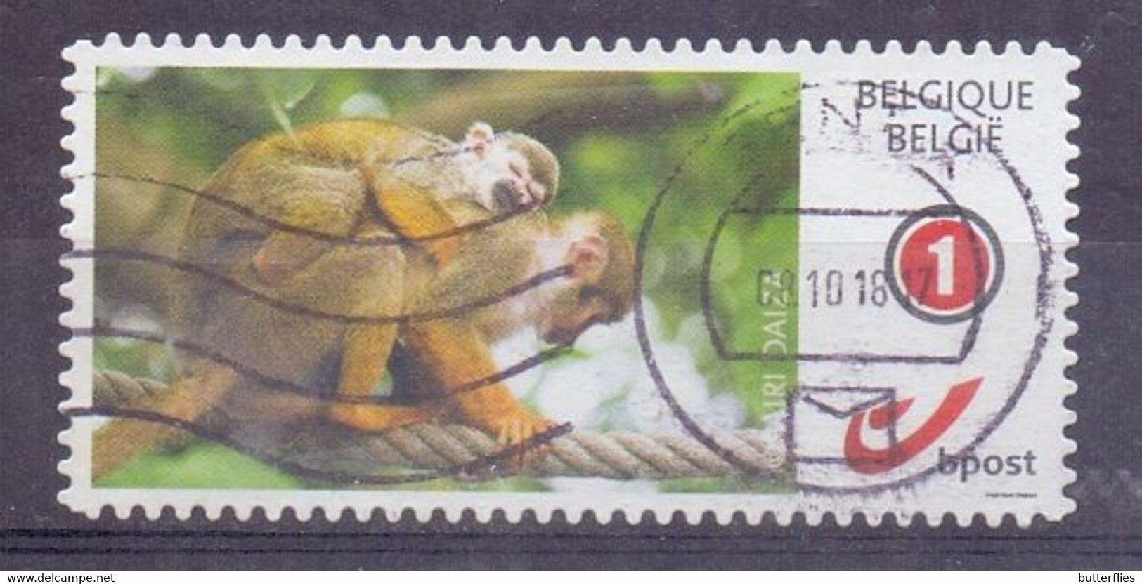 België - Duostamp - Pairi Daiza - Zonder Papierresten - Used