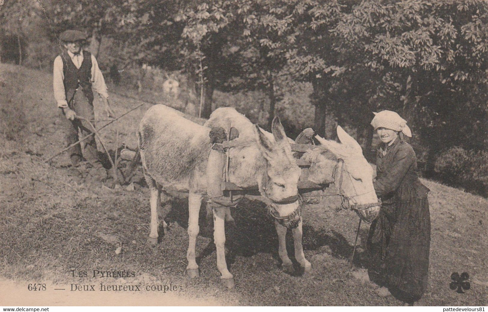 CPA (65) LES PYRENEES Deux Heureux Couples Métier Paysan Ane Baudet Donkey Agriculture Houe Agriculteur - Autres & Non Classés