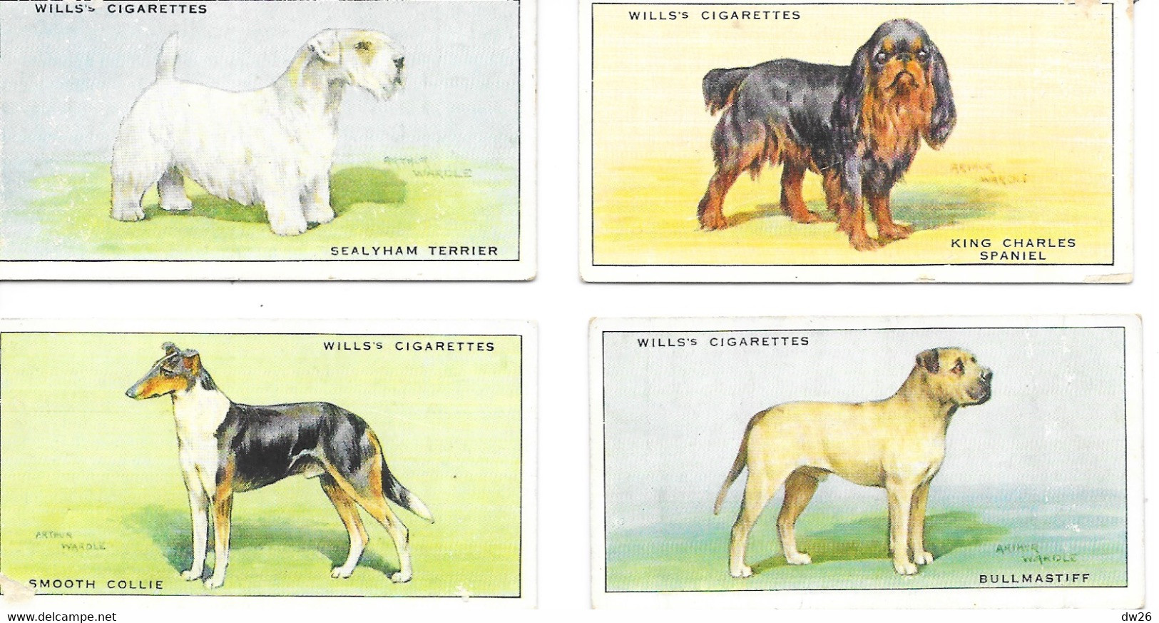 Chromo Cigarettes Wills's - Serie Chiens (Dogs) Lot De 13 Chromos (King Charles, Bullbog, Scottish And White Terrier...) - Wills