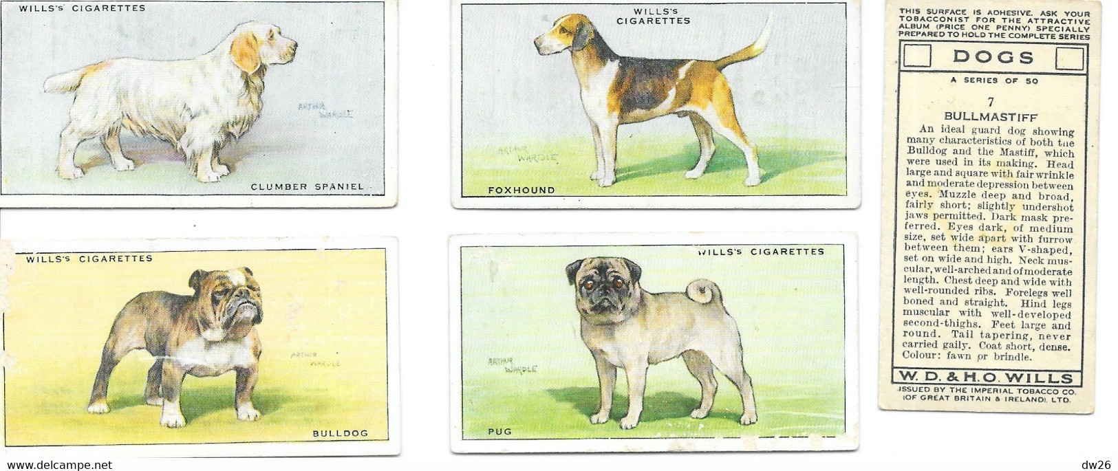 Chromo Cigarettes Wills's - Serie Chiens (Dogs) Lot De 13 Chromos (King Charles, Bullbog, Scottish And White Terrier...) - Wills