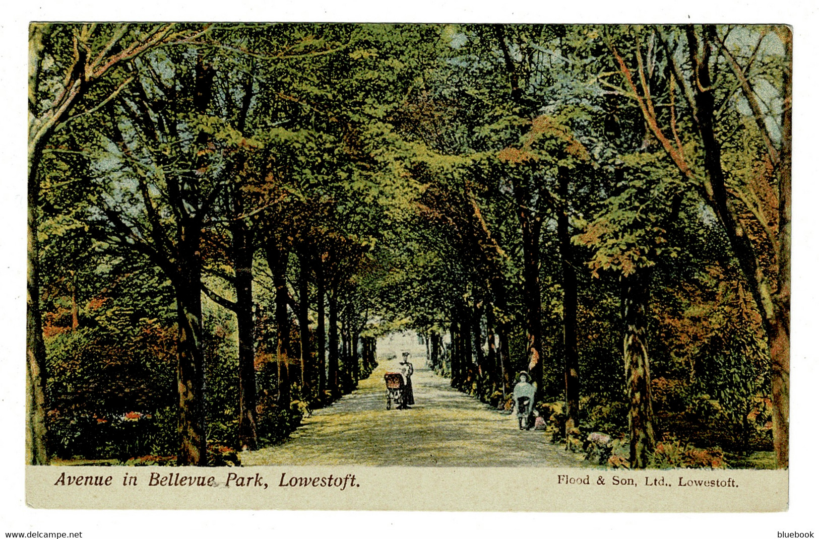 Ref 1452  - Early Postcard - Avenue In Bellevue Park - Lowestoft Suffolk - Lowestoft