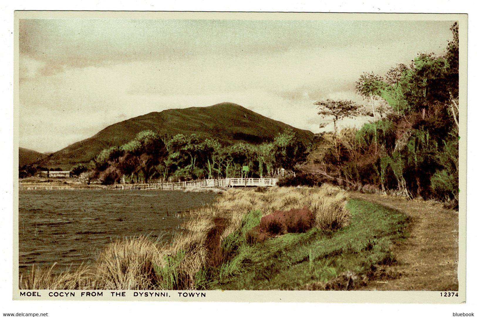 Ref 1453 - 3 X Postcards - Cader Valley - Moel Cocyn - Broad Water - Towyn Tywyn Wales - Unknown County