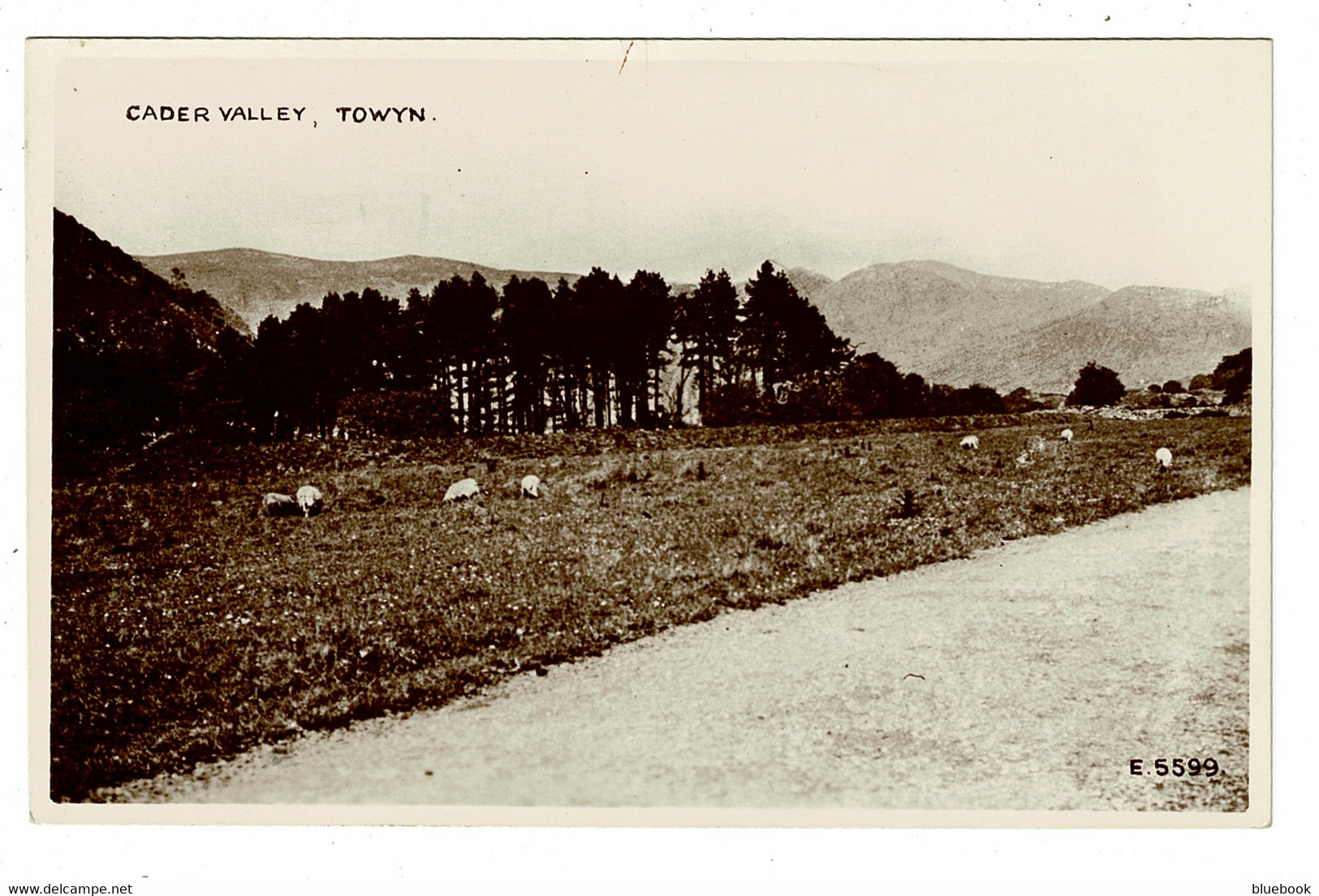 Ref 1453 - 3 X Postcards - Cader Valley - Moel Cocyn - Broad Water - Towyn Tywyn Wales - Unknown County