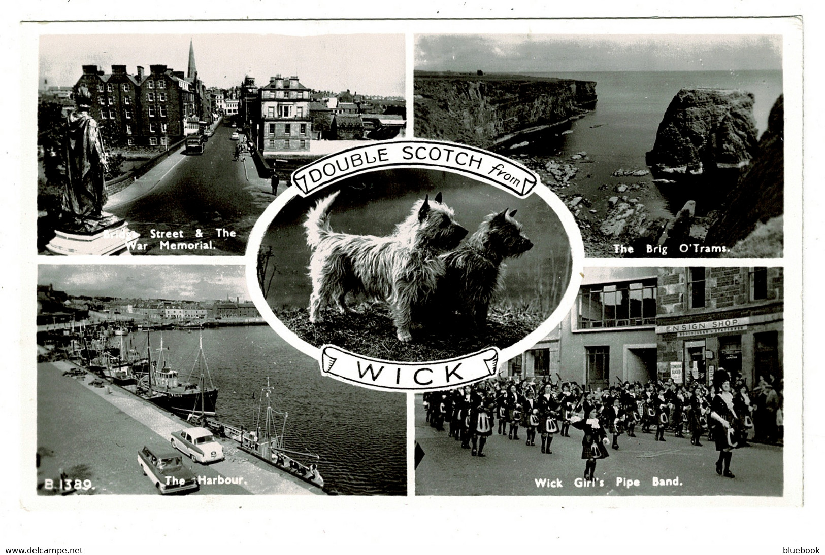 Ref 1453 - Real Photo Postcard - Wick Caithness - Scottish Terriers & Wick Girl's Pipe Band & Harbour - Caithness