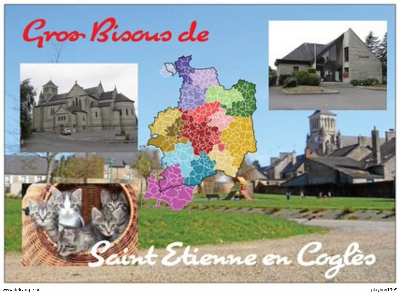 35 - SAINT ÉTIENNE EN COGLÈS - 5 Petits Chatons + Carte Géographique Du 35 - 3 Vues - Cpm - Vierge - - Otros & Sin Clasificación