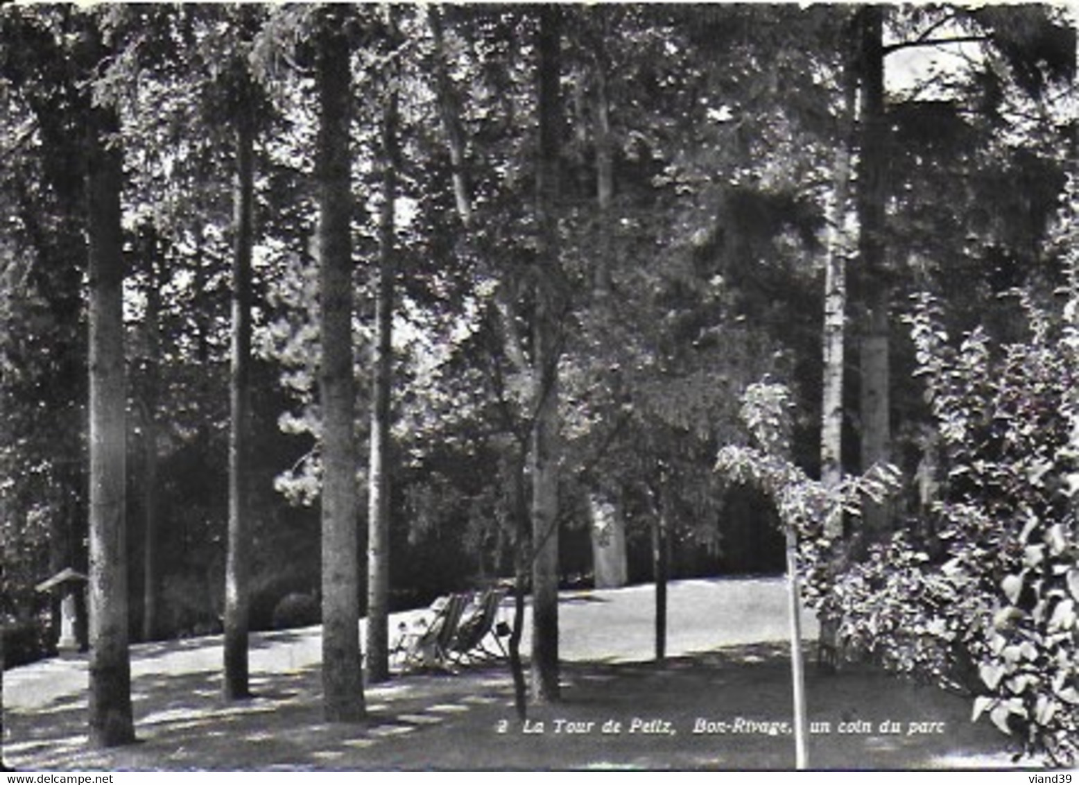 La Tour De Peilz - Bon Rivage , Un Coin Du Parc - La Tour-de-Peilz