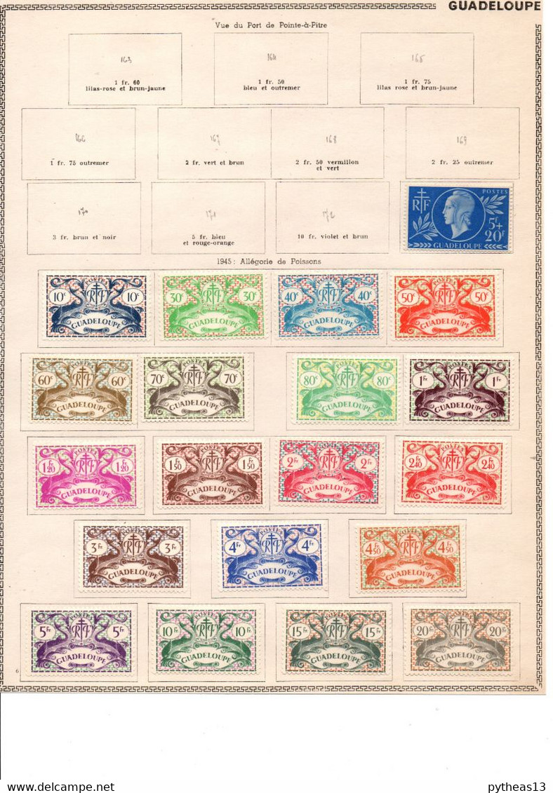 GUADELOUPE Collection (CL155)