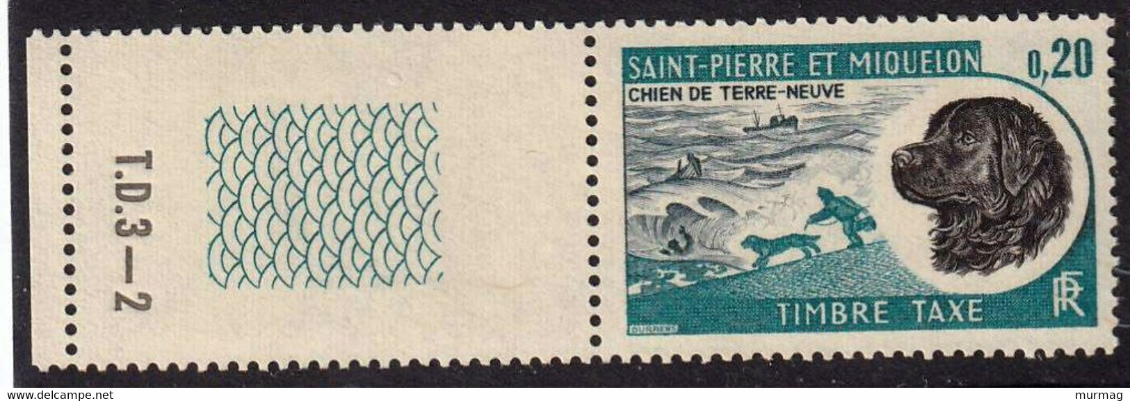 ST-PIERRE-ET-MIQUELON - Faune, Chien De Terre-Neuve - Y&T Tbre-taxe N° 77-79-80-81 - 1973 - Sonstige & Ohne Zuordnung