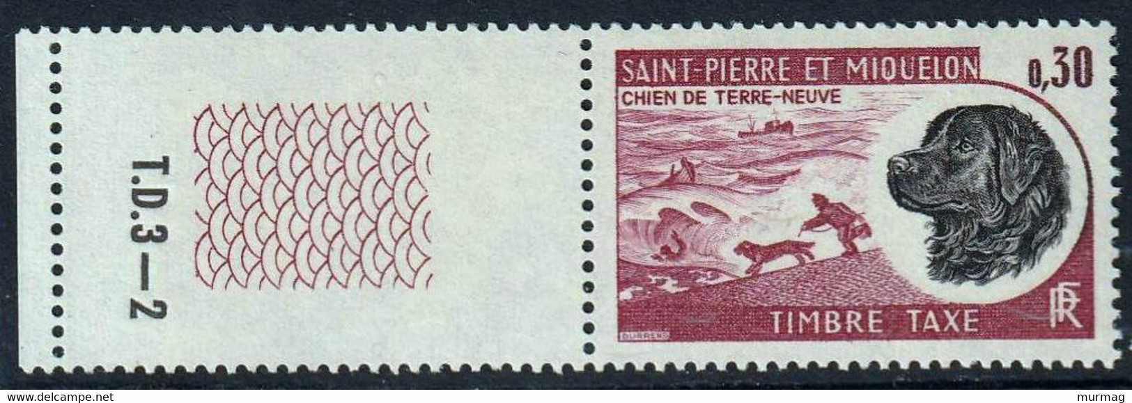 ST-PIERRE-ET-MIQUELON - Faune, Chien De Terre-Neuve - Y&T Tbre-taxe N° 77-79-80-81 - 1973 - Sonstige & Ohne Zuordnung